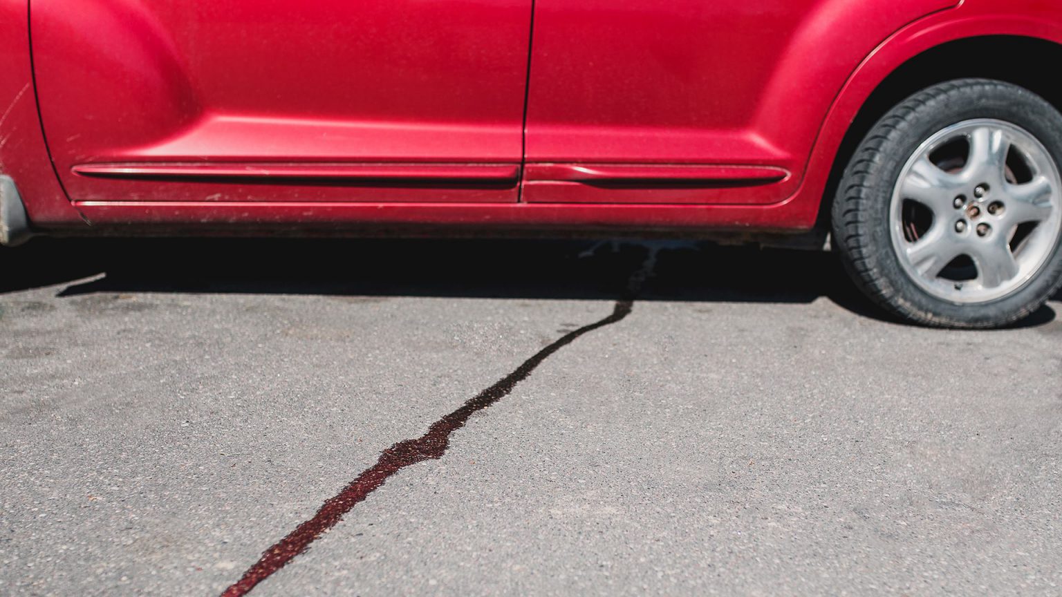 Why Does My Car Smell Like Gas? 8 Possible Reasons Motorborne