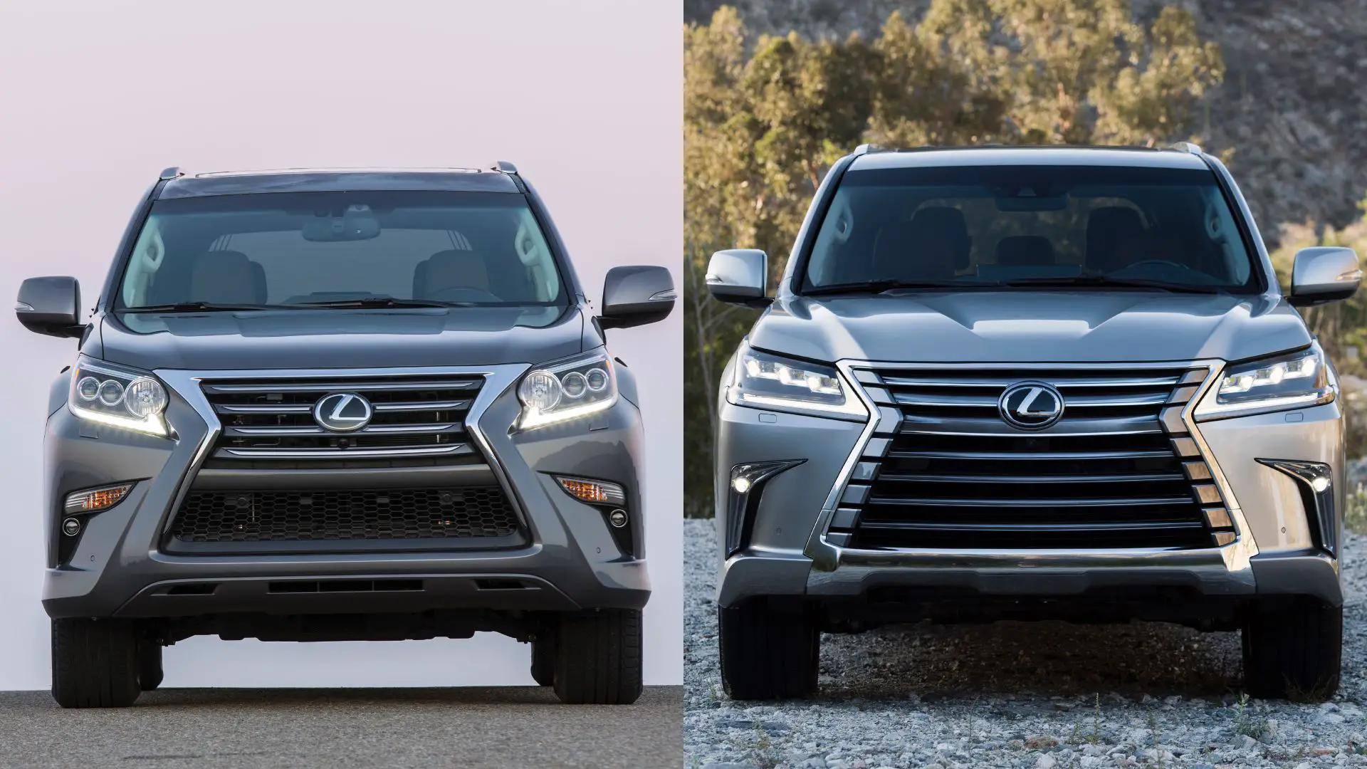 Lexus GX vs LX comparison