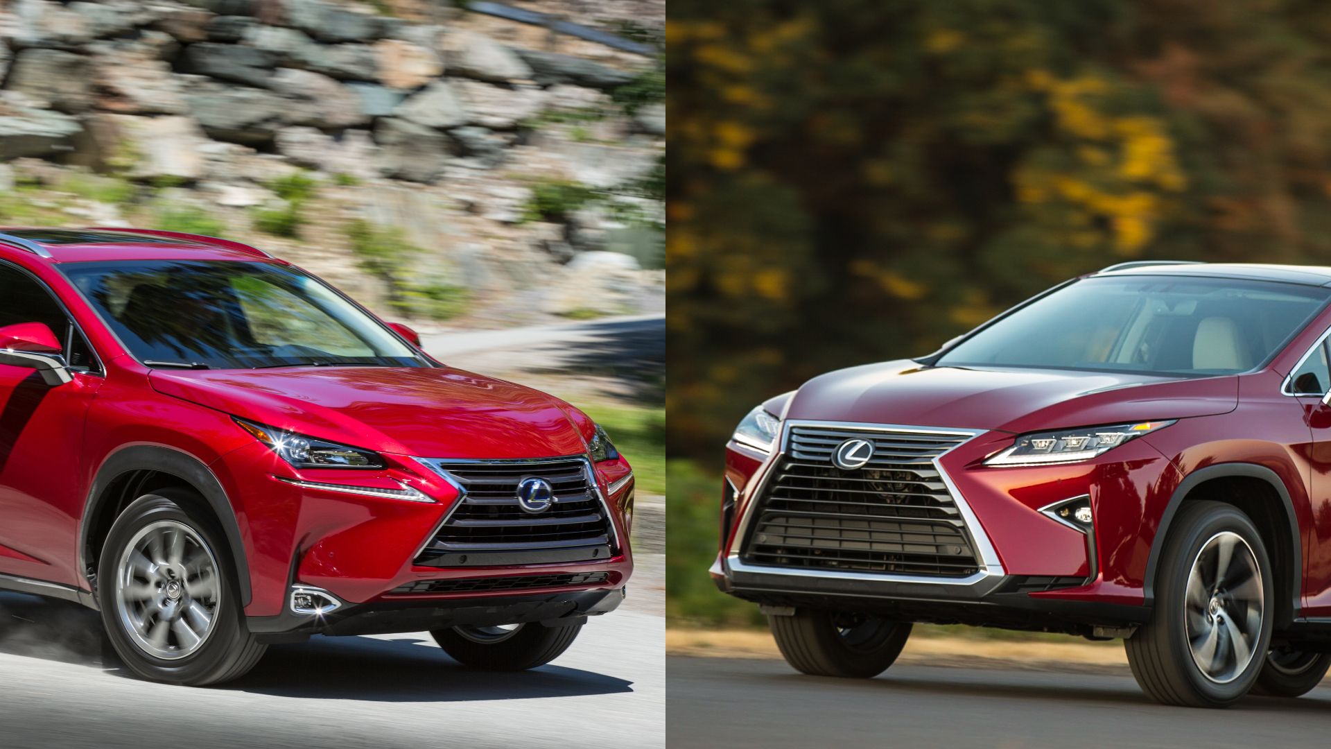 Lexus NX vs RX comparison