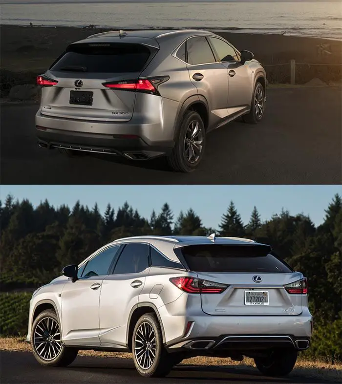 Lexus NX vs RX rear view comparison